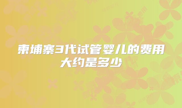 柬埔寨3代试管婴儿的费用大约是多少