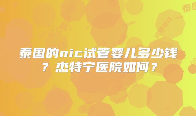 泰国的nic试管婴儿多少钱?杰特宁医院如何?