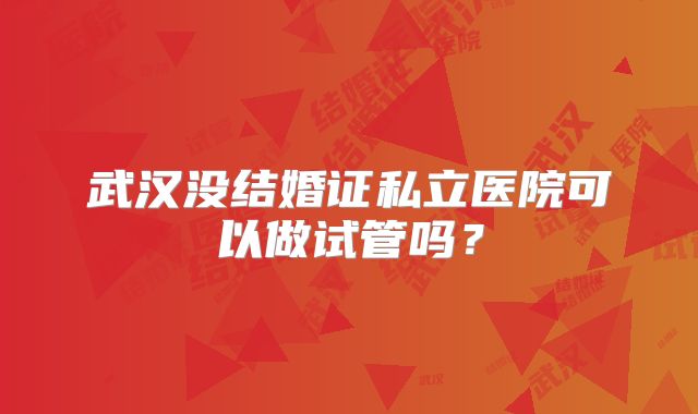 武汉没结婚证私立医院可以做试管吗?