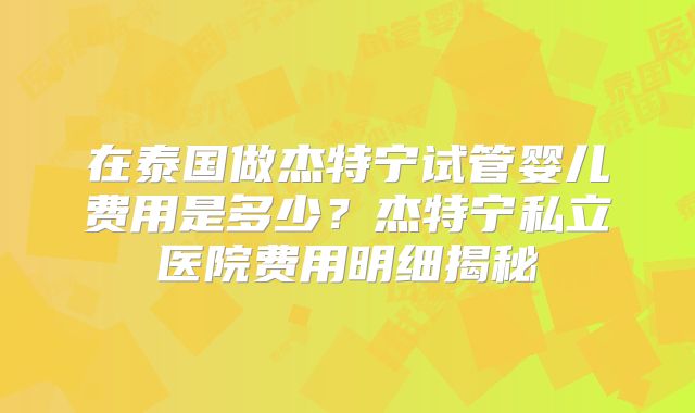 在泰国做杰特宁试管婴儿费用是多少？杰特宁私立医院费用明细揭秘