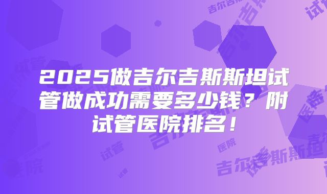 2025做吉尔吉斯斯坦试管做成功需要多少钱？附试管医院排名！