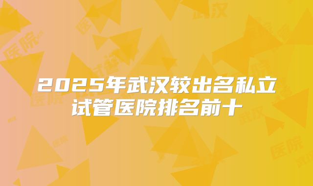 2025年武汉较出名私立试管医院排名前十