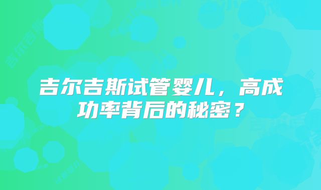 吉尔吉斯试管婴儿,高成功率背后的秘密?