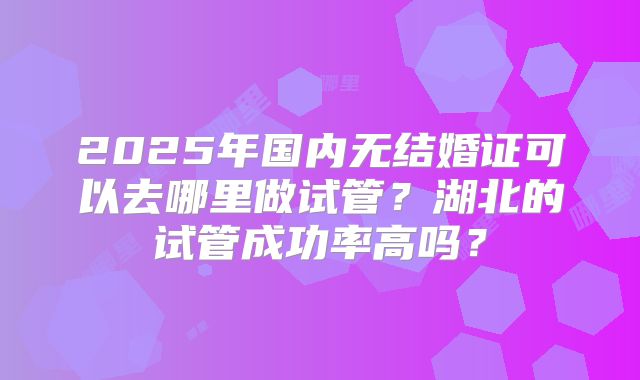 2025年国内无结婚证可以去哪里做试管?湖北的试管成功率高吗?
