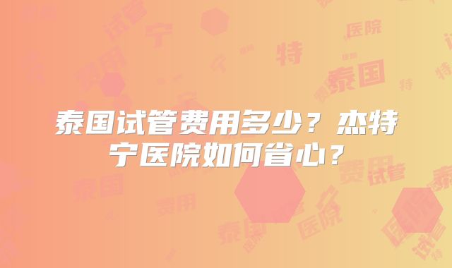 泰国试管费用多少?杰特宁医院如何省心?