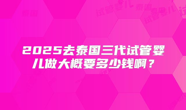 2025去泰国三代试管婴儿做大概要多少钱啊？