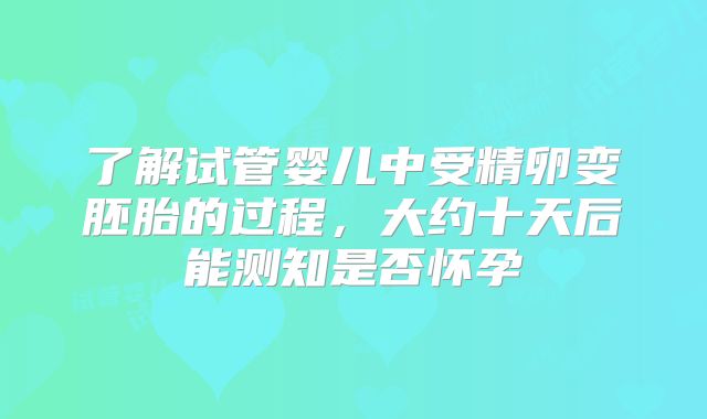 了解试管婴儿中受精卵变胚胎的过程,大约十天后能测知是否怀孕