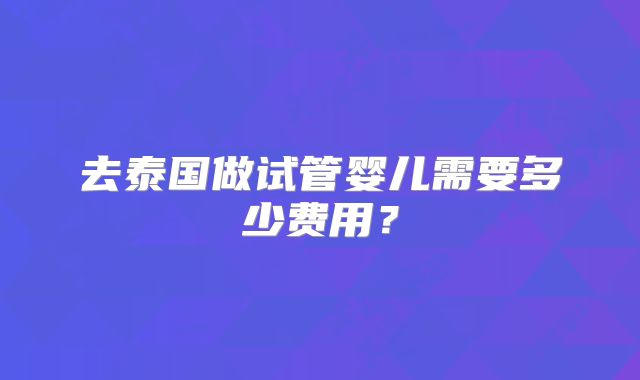 去泰国做试管婴儿需要多少费用?