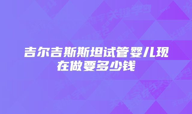 吉尔吉斯斯坦试管婴儿现在做要多少钱