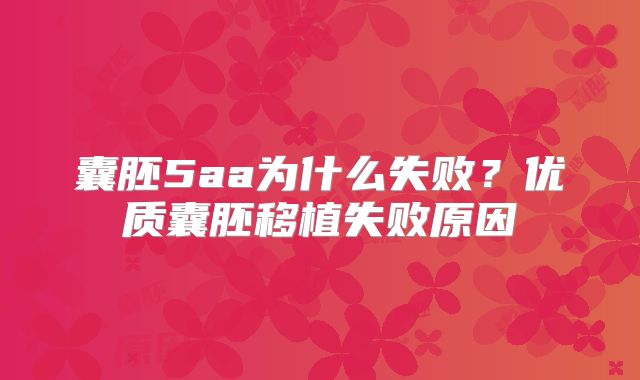囊胚5aa为什么失败？优质囊胚移植失败原因