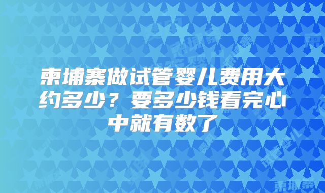 柬埔寨做试管婴儿费用大约多少?要多少钱看完心中就有数了