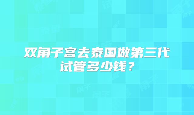 双角子宫去泰国做第三代试管多少钱?