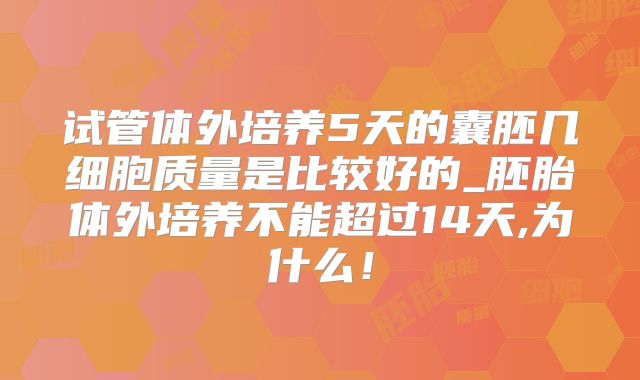 试管体外培养5天的囊胚几细胞质量是比较好的_胚胎体外培养不能超过14天,为什么！