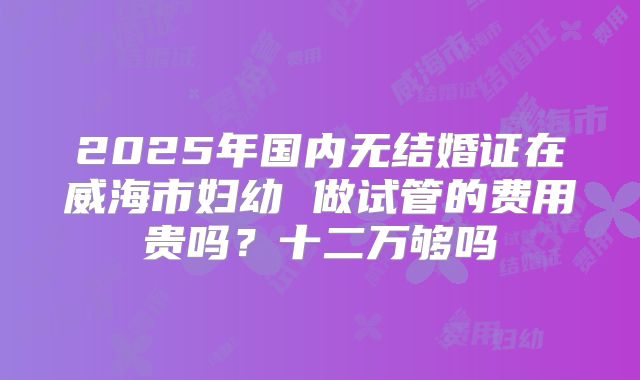 2025年国内无结婚证在威海市妇幼 做试管的费用贵吗？十二万够吗