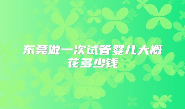 东莞做一次试管婴儿大概花多少钱