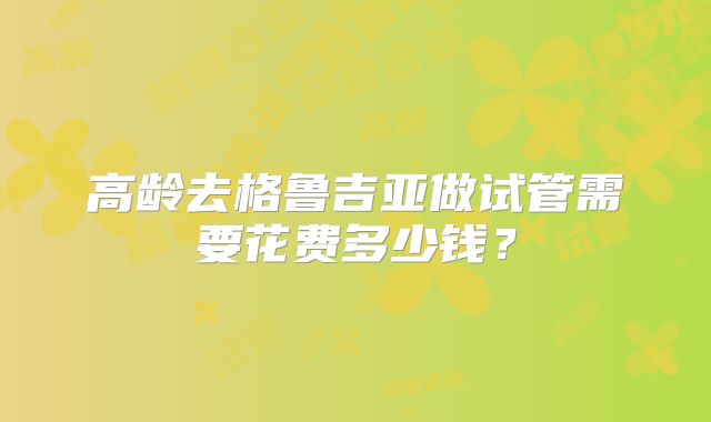 高龄去格鲁吉亚做试管需要花费多少钱？