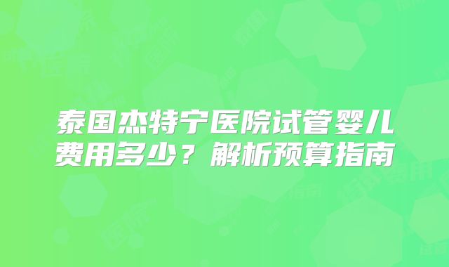 泰国杰特宁医院试管婴儿费用多少？解析预算指南