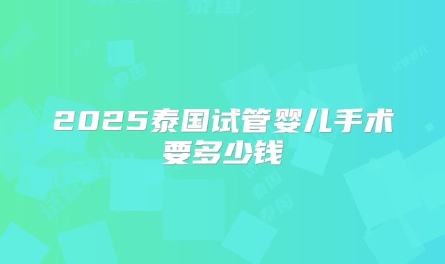 2025泰国试管婴儿手术要多少钱