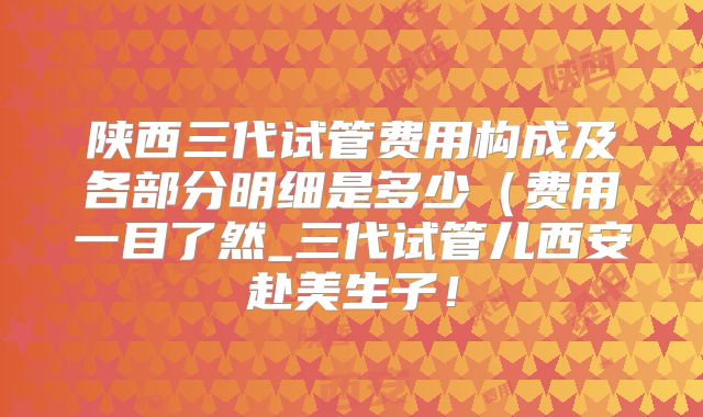 陕西三代试管费用构成及各部分明细是多少(费用一目了然_三代试管儿西安赴美生子!
