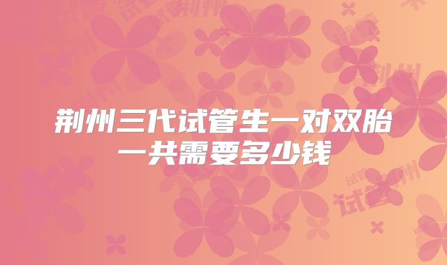 荆州三代试管生一对双胎一共需要多少钱