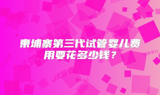 柬埔寨第三代试管婴儿费用要花多少钱？
