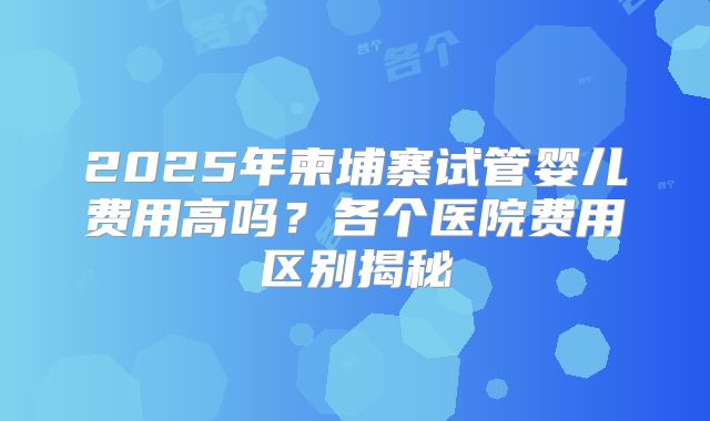 2025年柬埔寨试管婴儿费用高吗？各个医院费用区别揭秘