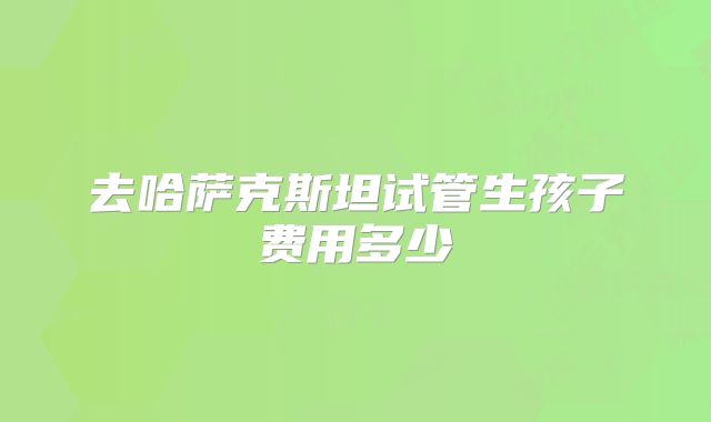 去哈萨克斯坦试管生孩子费用多少