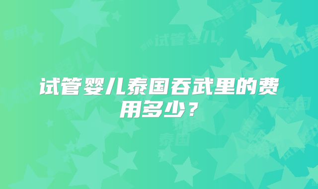试管婴儿泰国吞武里的费用多少?