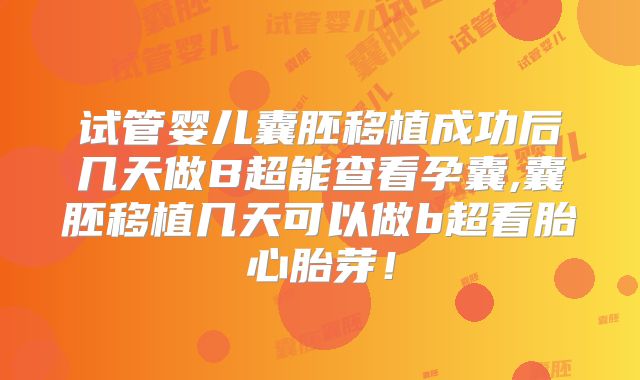试管婴儿囊胚移植成功后几天做B超能查看孕囊,囊胚移植几天可以做b超看胎心胎芽！