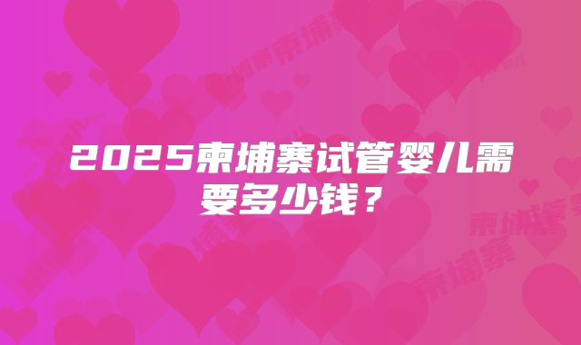 2025柬埔寨试管婴儿需要多少钱？