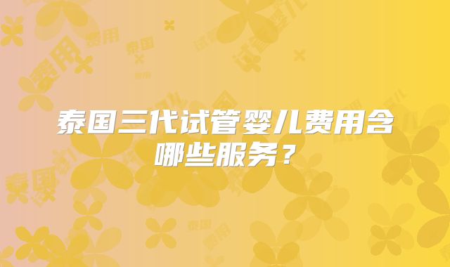 泰国三代试管婴儿费用含哪些服务？
