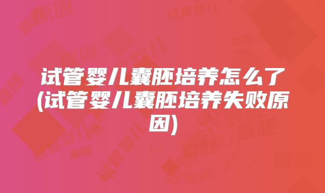 试管婴儿囊胚培养怎么了(试管婴儿囊胚培养失败原因)