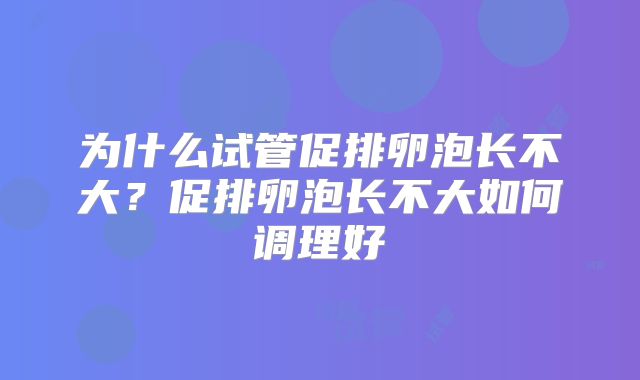 为什么试管促排卵泡长不大？促排卵泡长不大如何调理好