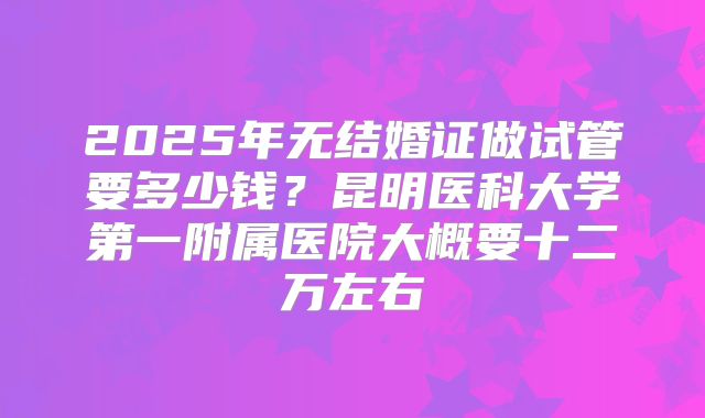 2025年无结婚证做试管要多少钱？昆明医科大学第一附属医院大概要十二万左右
