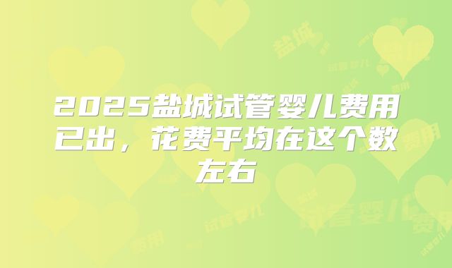 2025盐城试管婴儿费用已出,花费平均在这个数左右