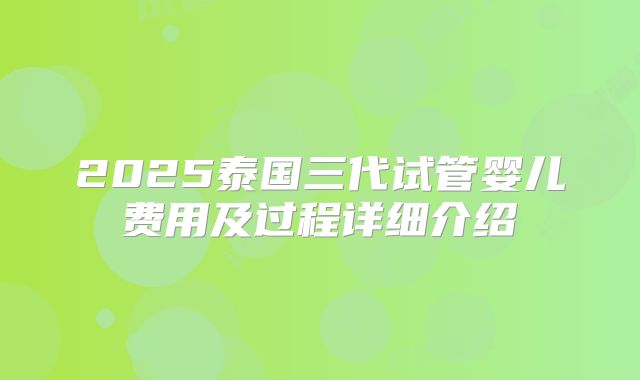 2025泰国三代试管婴儿费用及过程详细介绍
