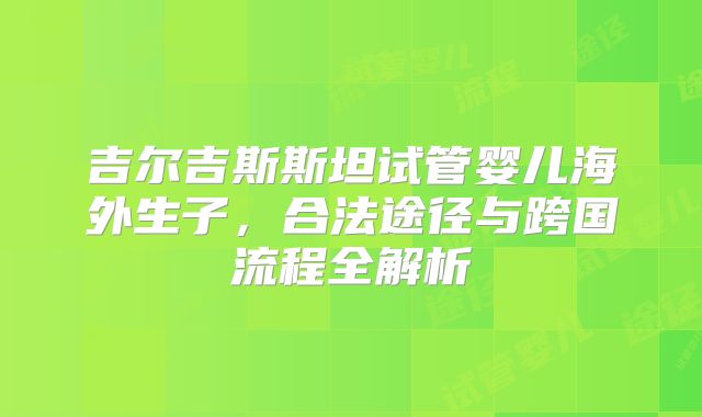 吉尔吉斯斯坦试管婴儿海外生子,合法途径与跨国流程全解析