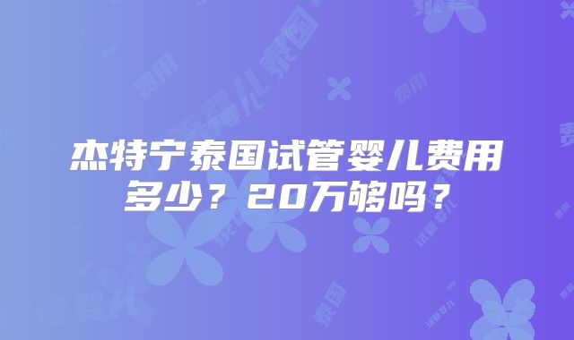 杰特宁泰国试管婴儿费用多少?20万够吗?