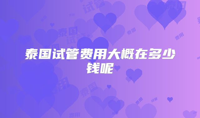 泰国试管费用大概在多少钱呢