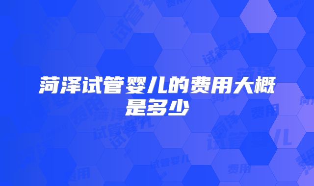 菏泽试管婴儿的费用大概是多少