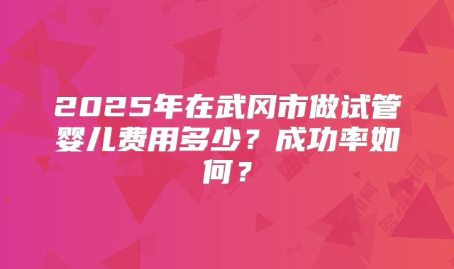 2025年在武冈市做试管婴儿费用多少？成功率如何？