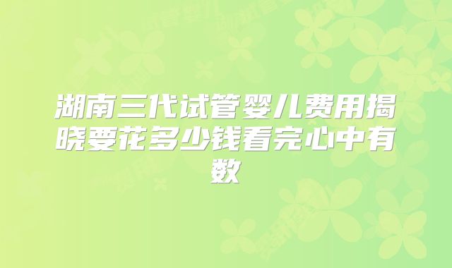湖南三代试管婴儿费用揭晓要花多少钱看完心中有数