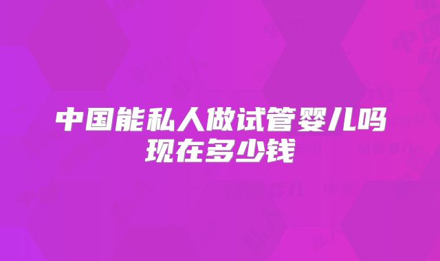中国能私人做试管婴儿吗现在多少钱