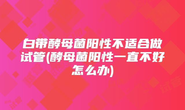 白带酵母菌阳性不适合做试管(酵母菌阳性一直不好怎么办)
