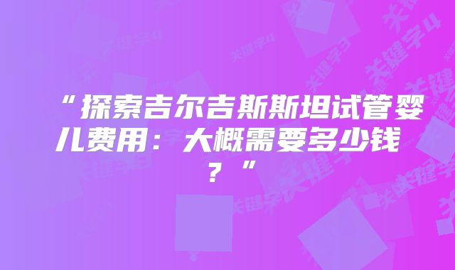 “探索吉尔吉斯斯坦试管婴儿费用:大概需要多少钱?”