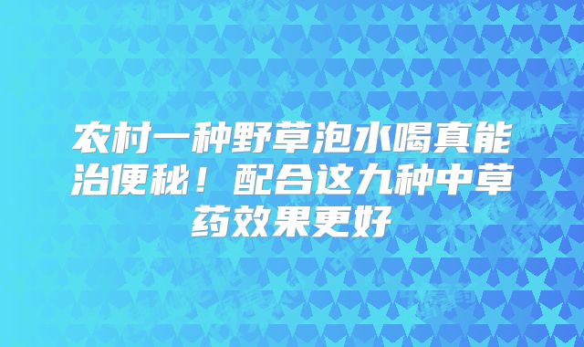 农村一种野草泡水喝真能治便秘！配合这九种中草药效果更好