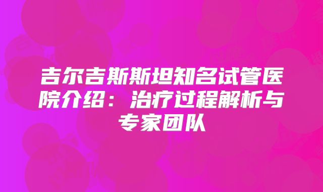 吉尔吉斯斯坦知名试管医院介绍：治疗过程解析与专家团队