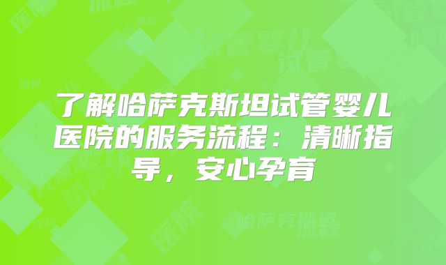 了解哈萨克斯坦试管婴儿医院的服务流程：清晰指导，安心孕育
