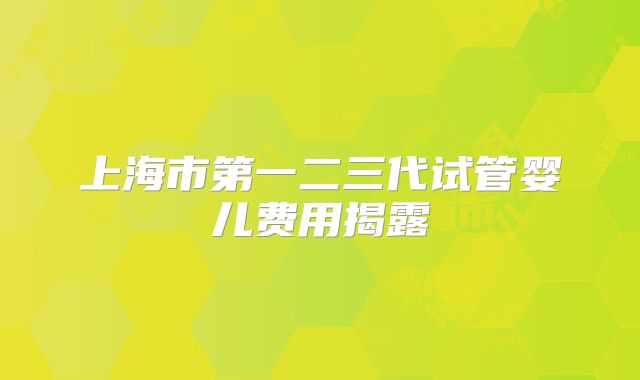 上海市第一二三代试管婴儿费用揭露