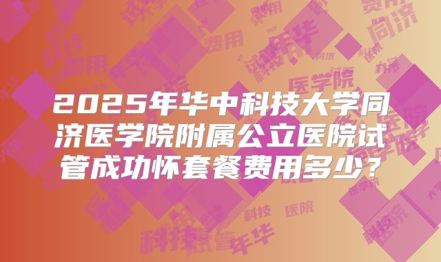 2025年华中科技大学同济医学院附属公立医院试管成功怀套餐费用多少？